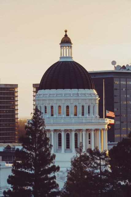 Image of the capital behind trees